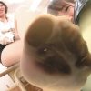 Thumbnail of related posts 137