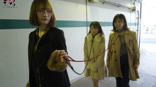 Thumbnail of post image 029